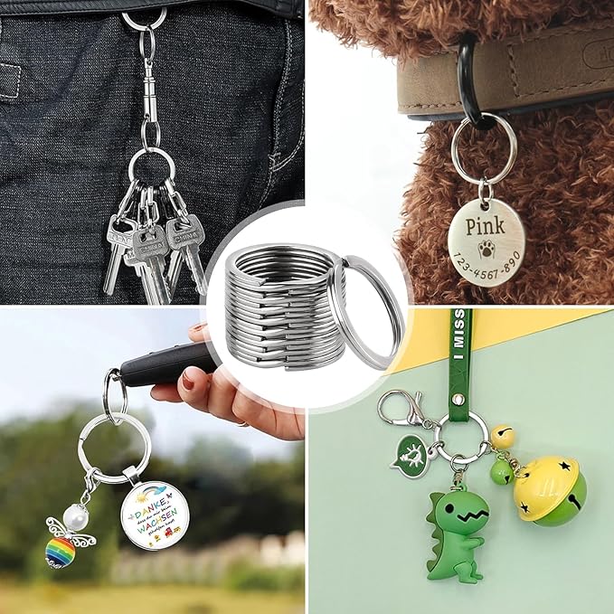 A collage showing silver metal keychain rings with various charms: keys, a round engraved pet tag on a dog collar, a stack of rings, a small bee charm, a dinosaur charm, and a bell charm.
